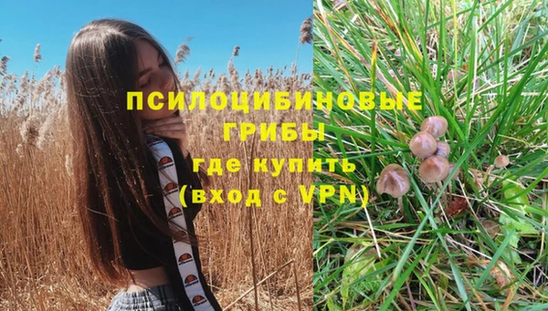 меф Армянск