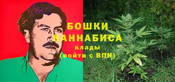 apvp Аркадак