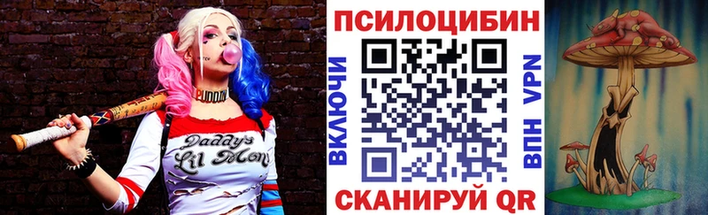 Галлюциногенные грибы Magic Shrooms  закладка  Сольцы 